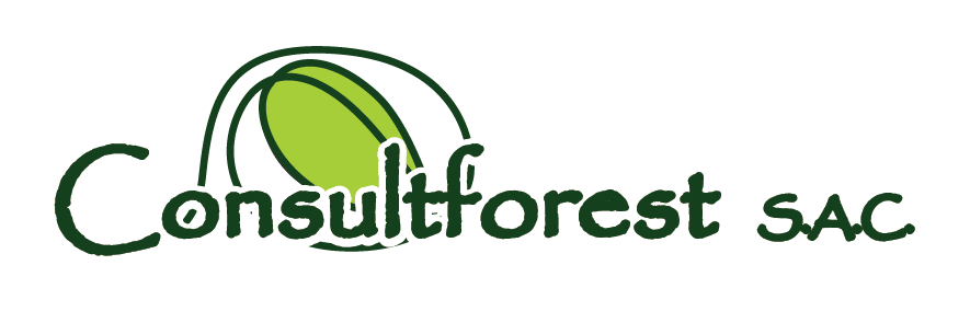 Consultforest SAC.